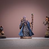 Reaper Miniatures - Giocolibreria Semola