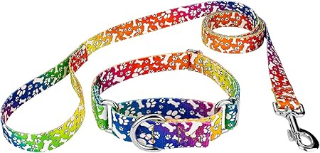 martingale dog collar leash combo
