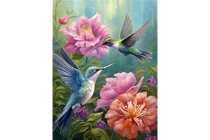 mrpwnle Diamond Painting Kits for Adults-Hummingbird Diamond Art Kits for Adults, 5D Diamond Painting Hummingbird, DIY Full Drill Diamond Painting Hummingbird Gem Art and Crafts 12x16inch