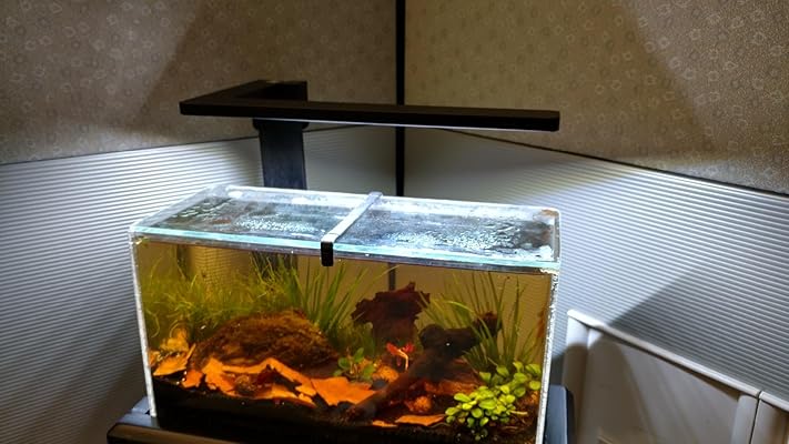 flexi mini aquarium