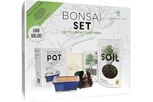 Leaves and Soul Complete Bonsai Set - Small Blue Rectangle Bonsai Pot | 160ft of Bonsai Hobby Wire | Wire Cutter | Bonsai Soil | Bonsai Fertilizer | Storage Bag