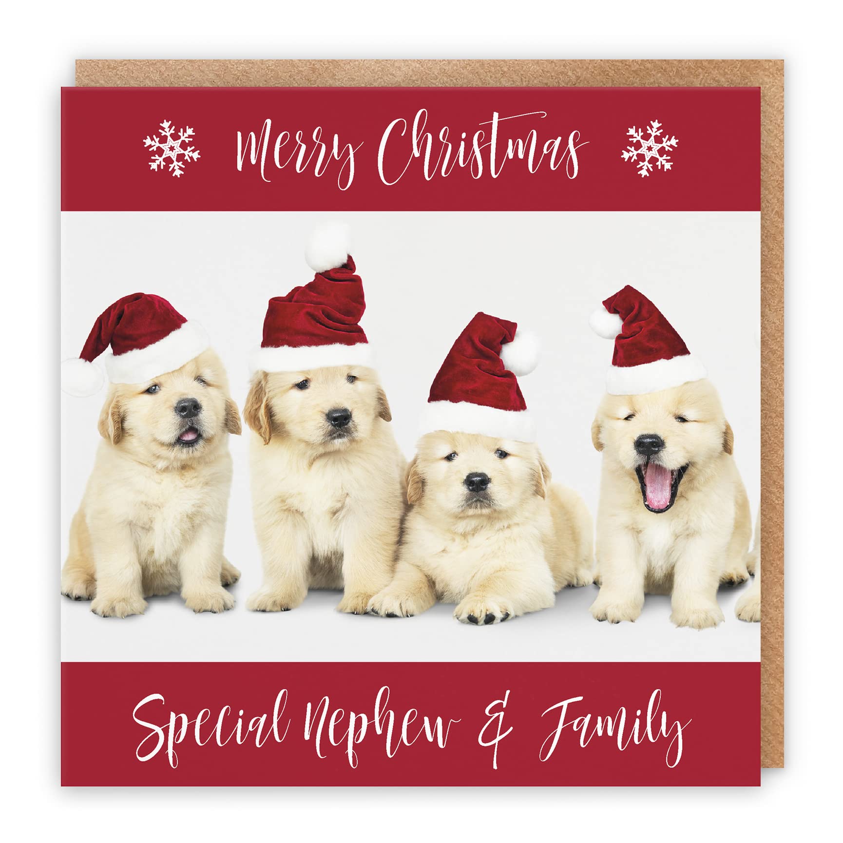 Hunts England - Nephew And Family Christmas Card - Special Nephew & Family - Puppy Collection - Fun Xmas Card
