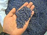 TooGet Fragrant Lavender Buds Natural Dried Flowers Ultra Blue Grade 1 Pound view 2