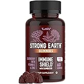 Strong Earth Elderberry Gummies – Sambucus Elderberry Immune Support with Vitamin C & Zinc – Black Elderberry Gummies, Berry Flavor, Non-GMO, Gluten Free, Kosher – 60 Count
