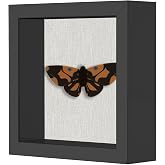5x5 Shadow Box Frame, Linen Back, Push Pins Included, Memory Box Display Case, Black