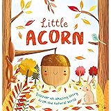Nature Stories: Little Acorn: Padded Board Book