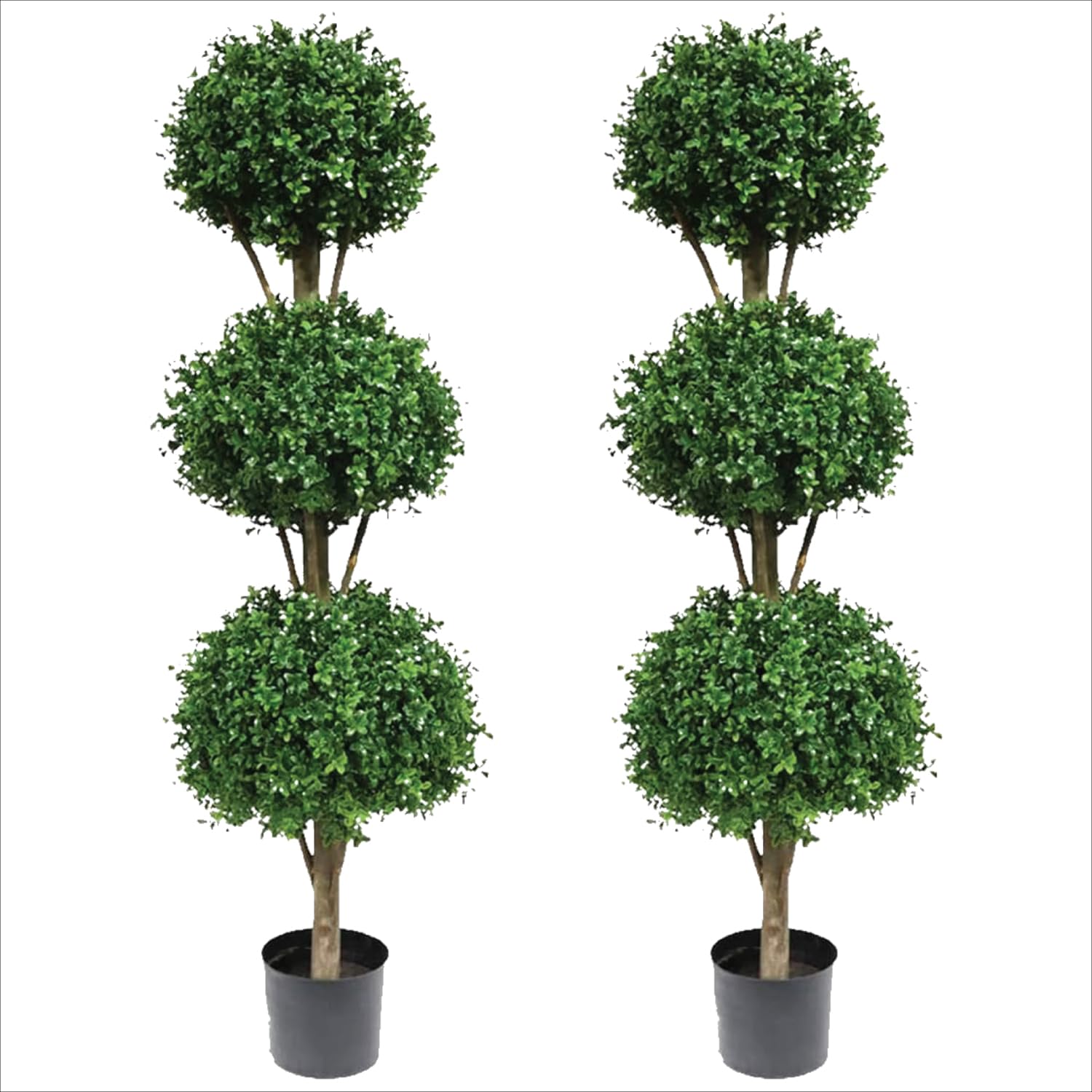 Photo 1 of Two 66 Inch Artificial Boxwood Triple Ball Topiary Trees Potted UV Rated 5 and a Half Foot Tall