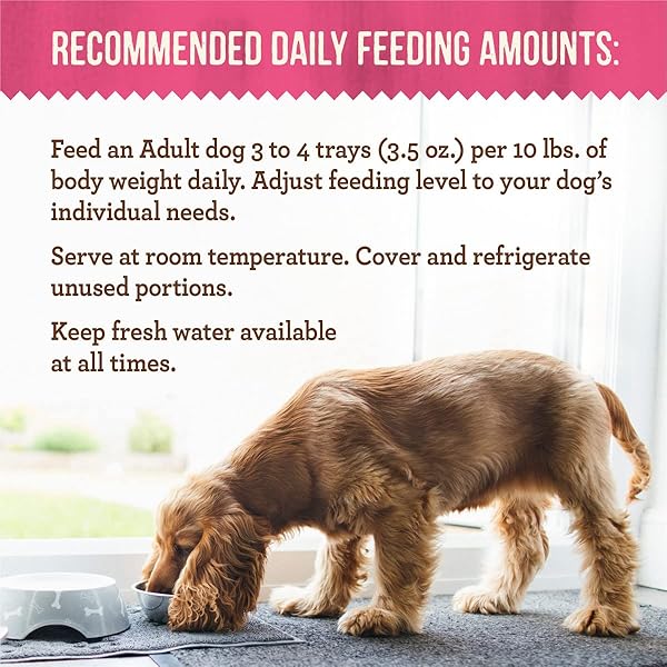 MERRICK LIL’ PLATES GRAIN FREE DINNER DUOS SOFT NATURAL WET SMALL DOG FOOD VARIETY PACK, BEEF AND CHICKEN – (PACK OF 12) 3.5 LB. TUBS