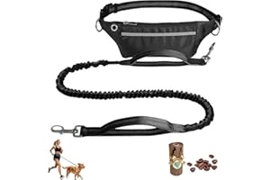 Caszok 2-in-1 Detachable Hands Free Dog Leash – Lightweight Reflective Waist Belt, Heavy Duty Retractable Bungee, Adjustable 