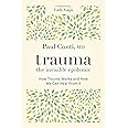Trauma: The Invisible Epidemic: How Trauma Works and How We Can Heal From It
