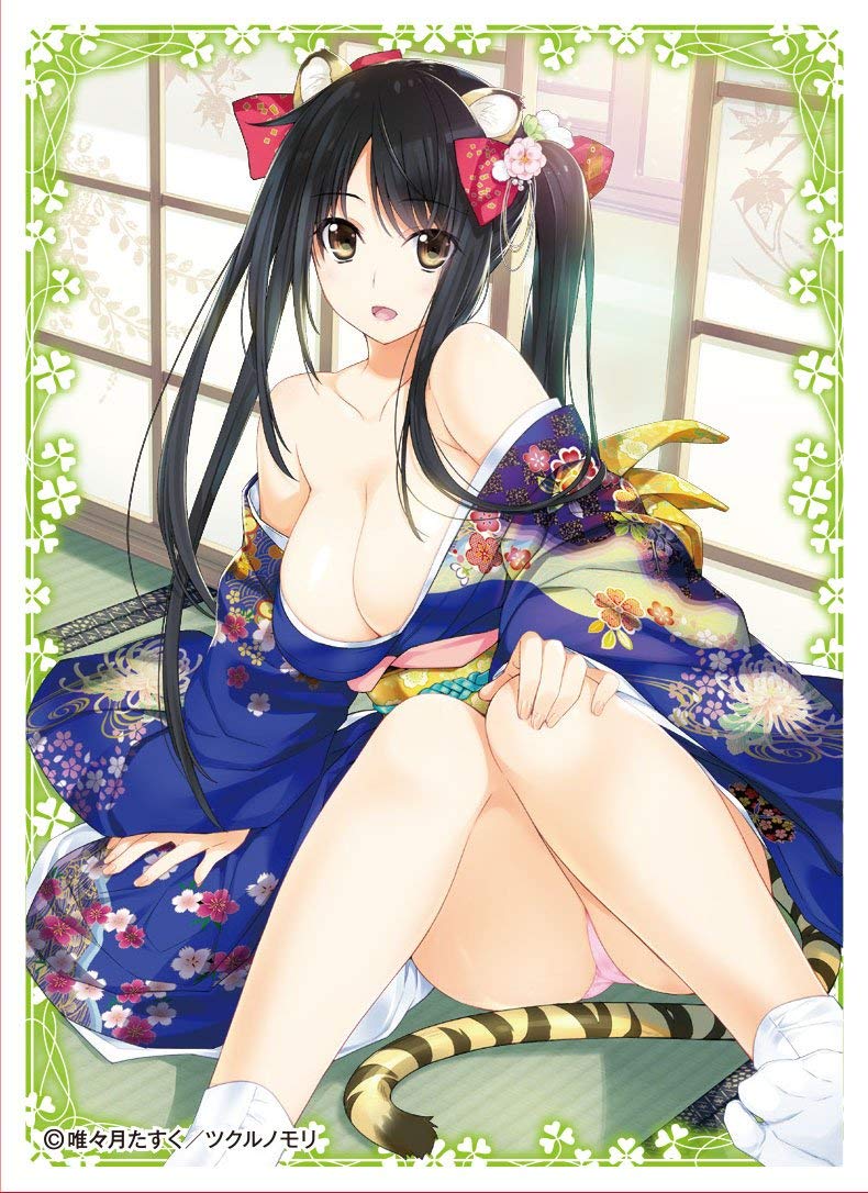 Doujin Creator Tasuku Lizuki Trading Character Card Game Sleeves Collection En 455 Anime Amazon In Doujin Creator Tasuku Lizuki Trading Character Card Game Sleeves Collection En 455 Anime Amazon In