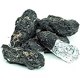 Barn Owl Pellets - Large - Pack of 6