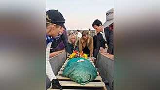 Get Amazon Com Watch Alternate Endings Six New Ways To Die In For Free Wallpaper Amazon Com Watch Alternate Endings Six New Ways To Die In For Free