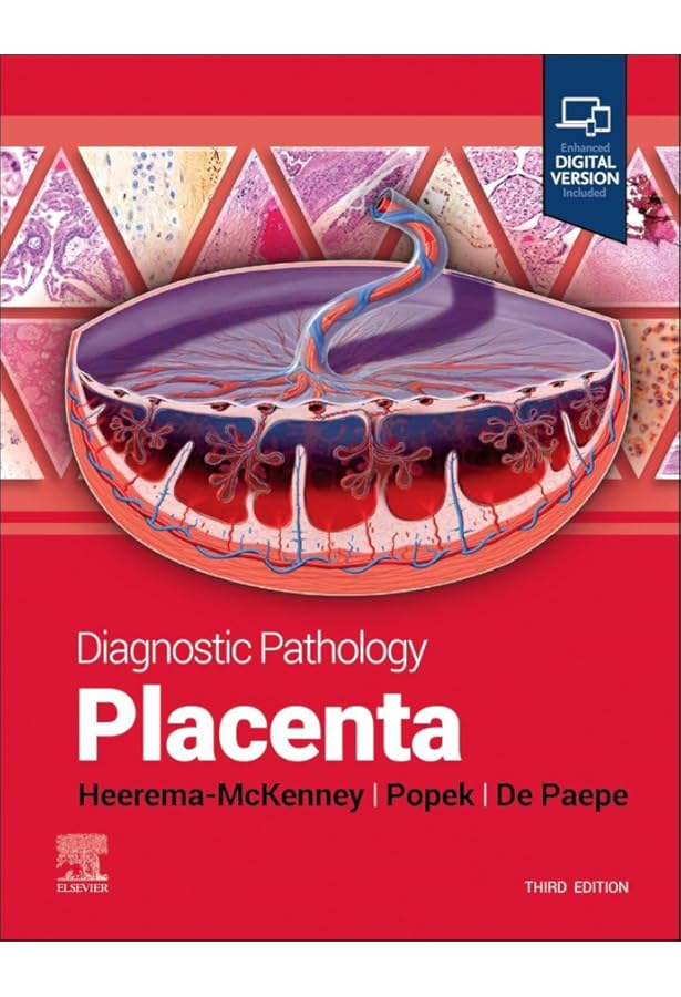 Diagnostic Pathology: Genitourinary: 9780323763325: Medicine