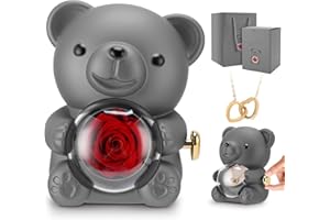 Gugxiom Eternal Rose Bear, Preserved Real Rose Teddy Gift Box, Romantic Bear with Preserved Flower for Her in Valentine's Day