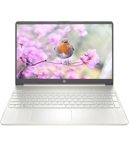 Amazon.com: HP ProBook 430 G6 13.3
