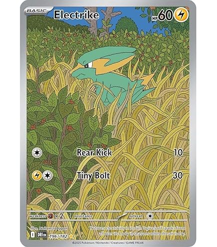 Amazon.com: Pokemon