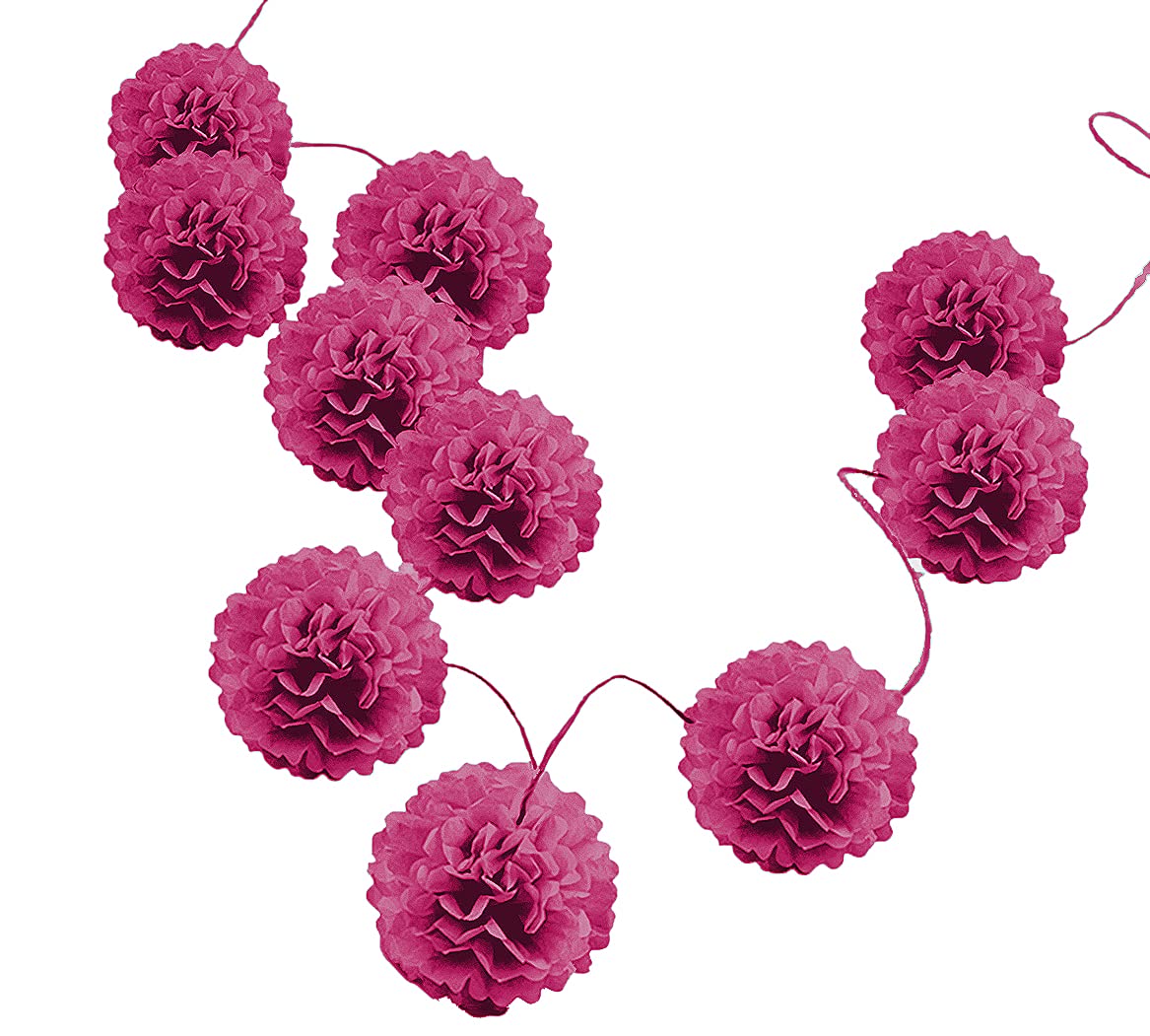 Pack of 10 Tissue Paper Flower Ball Pom pom Party Decoration Indoor Outdoor 6" 8" 10" 12" 14" (Fuchsia, 10")