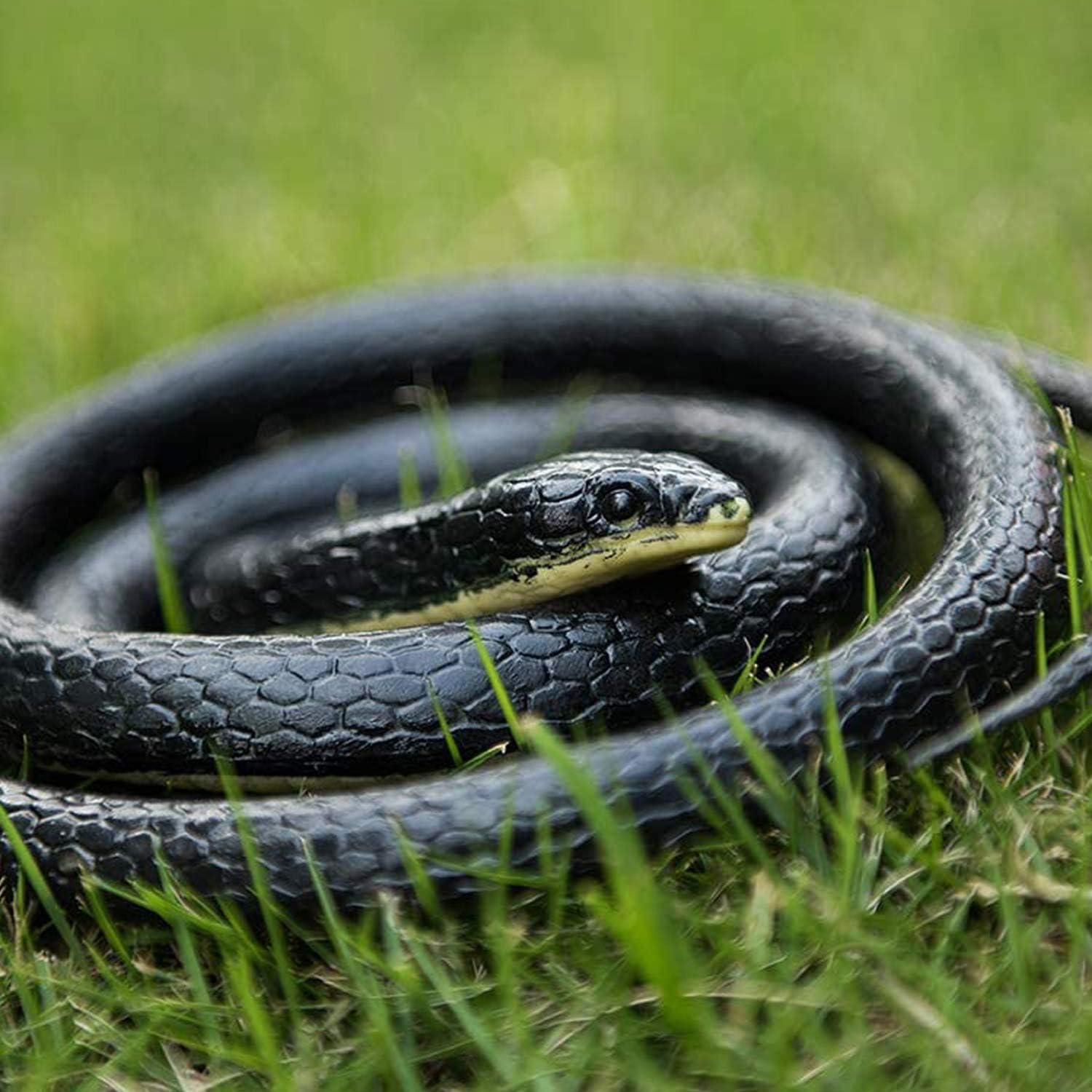 realistic fake snake