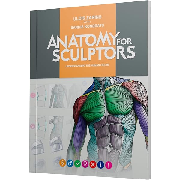 Anatomy For Sculptors, Understanding the Human Figure: Uldis