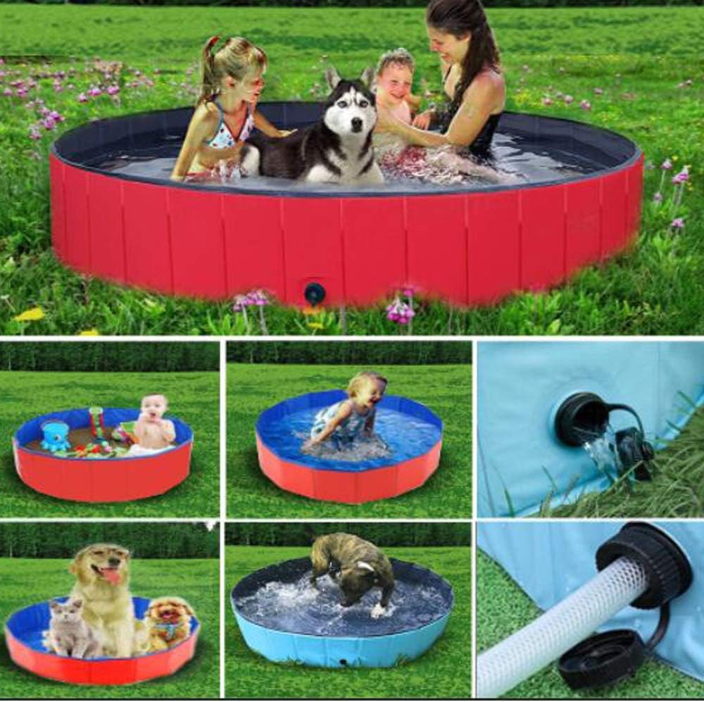 indoor dog pool