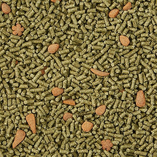 Kaytee forti Diet Pro Health Rabbit Food for Juvenile Rabbits, 5-Pound