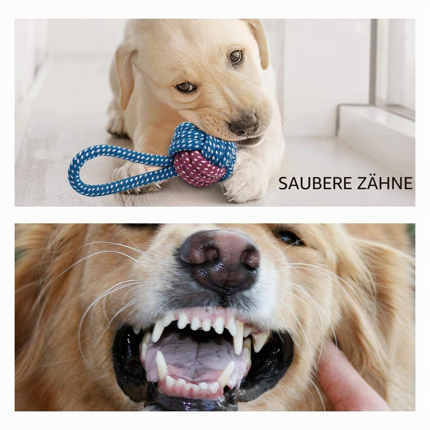 Toozey Hundespielzeug Kleine Hunde - 7 Stück Welpenspielzeug - Langlebiges Kauspielzeug und Quietschspielzeug Intelligenz - Naturbaumwolle und Ungiftig 5