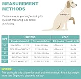 haapaw Dog Harness and Lead Set No Pull Reflective Step-in Adjustable Harness view 7