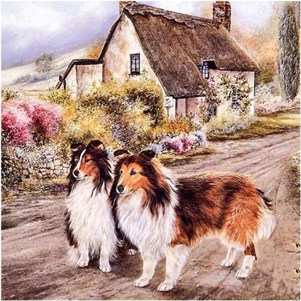 LoveMyHome Diamond Painting Full Drill Kits/5D Diy Art Rhinestone Pasted Painting/Mosaic Cross Stitch - with Square Diamond and Make Tool - Animals - Two Dogs in Countryside (30X30CM)