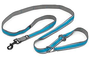 Kurgo 6 in 1 Quantum Leash, Hands Free Leash for Dogs, Running Belt Lead, Crossbody & Waist Belt Style, Reflective, Carabiner Clip, for Training, Hiking, or Jogging, 4 Colors