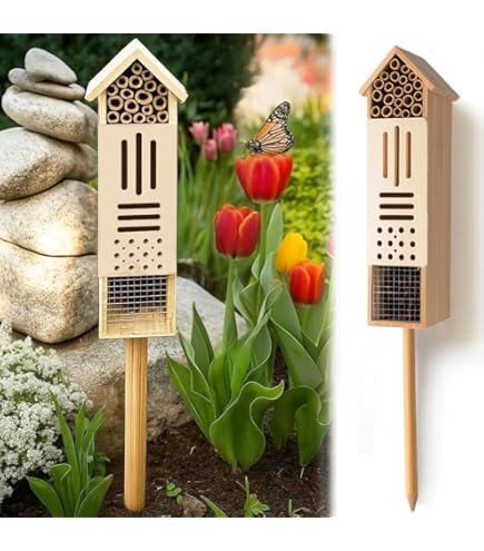 Amazon.com: antiai Wooden Mason Insect Bee Butterfly House,Insect