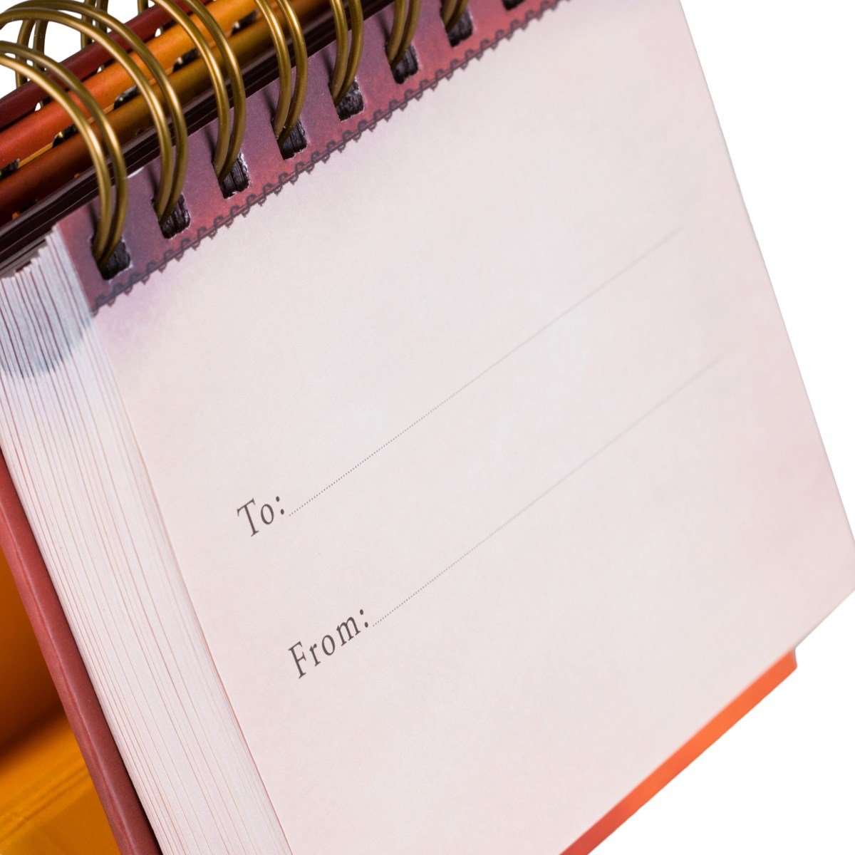 View 4