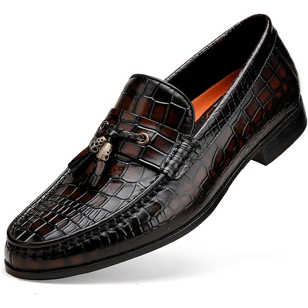 Amazon.com | GOLDEN COXES FAMILY Tassel Loafer for Mens, Casual