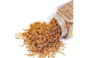 BNYEE Reptile Food Dried Mealworms Pet Worms Food for Bearded Dragon, Lizard, Turtles, Chameleon, Monitor, Frog, Sugar Glider, Chickens, Birds, Hamsters and Hedgehogs (3.5 OZ)