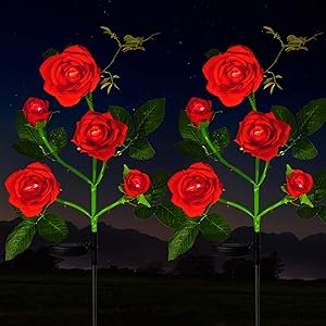 HeyMate Solar Lights Outdoor Decorative - 2 Pack Solar Garden Rose Flower Lights Waterproof with 10 Rose Flowers for Yard, Backyard, Patio, Pathway Decoration, Red