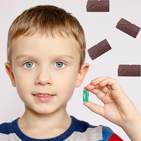 CHOCOLATE THIN MINTS, RECTANGULAR CHOCOLATE SANDWICH MINT CANDIES, MINT CANDIES, AFTER DINNER MINTS, BUTTER MINT CANDY, FAT-FREE, INDIVIDUALLY WRAPPED (1 POUND)