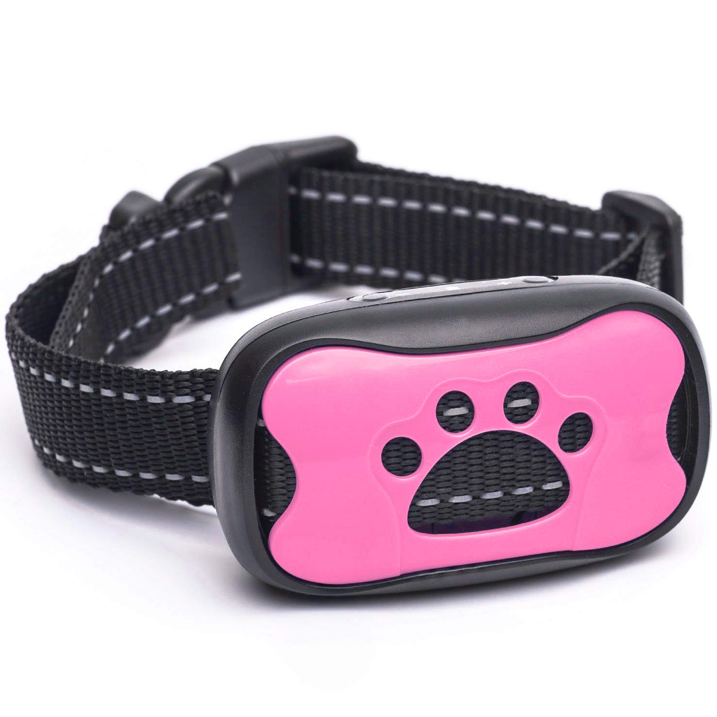 bernese mountain dog clothing