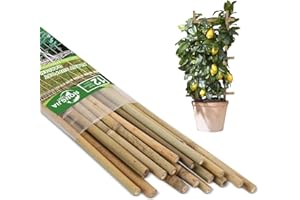 RONGJIA Strong Bamboo Stakes, Multi-Purpose Bamboo Plant Support Stakes, Best Garden Stakes Decoration for Tomato, Bean, Flowers,Trees Potted and Climbing Plant Support (12 inch, Pack of 25)