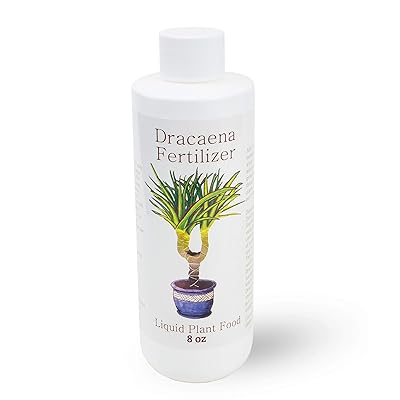 Dracaena Fertilizer | Indoor Plant Food | Dracaena Jamaica | Ubuy