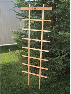 Gronomics FT 24-72 Folding Trellis, 24 by 72-Inch (Discontinued by Manufacturer)