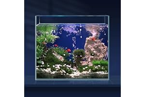 LAQUAL 6.5 Gallon Ultra Clear Glass Fish Tank, Rimless Low Iron Aquarium for Betta/Nano/Goldfish/Snail/Shrimp, Fish Tank & Co