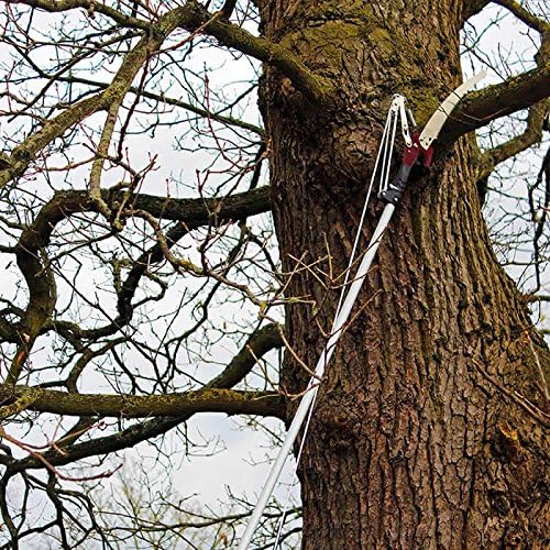 Kent And Stowe 70100496 3 M Telescopic Tree Pruner Amazon Co Uk Garden Outdoors