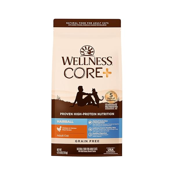 WELLNESS CORE+ HAIRBALL ADULT DRY CAT FOOD, NATURAL,...