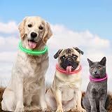 AUAUY LED Light Up Dog Collar Blue USB Rechargeable 70cm Reflective view 7