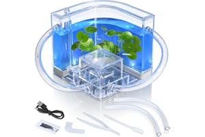 Ant Farm, Ant Habitat Kit with Built-In Lights for Observation and Learning, Fostering Exploration, Growth, and Discovery at 