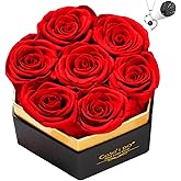 Casaido Preserved Roses Flowers for Delivery 7 Pcs, Vanlentines Day Gifts for Her, Forever Flores in Heart Box with Necklace, Anniversary Birthday Christmas Rose Gift for Women Wife Girlfriend, Red