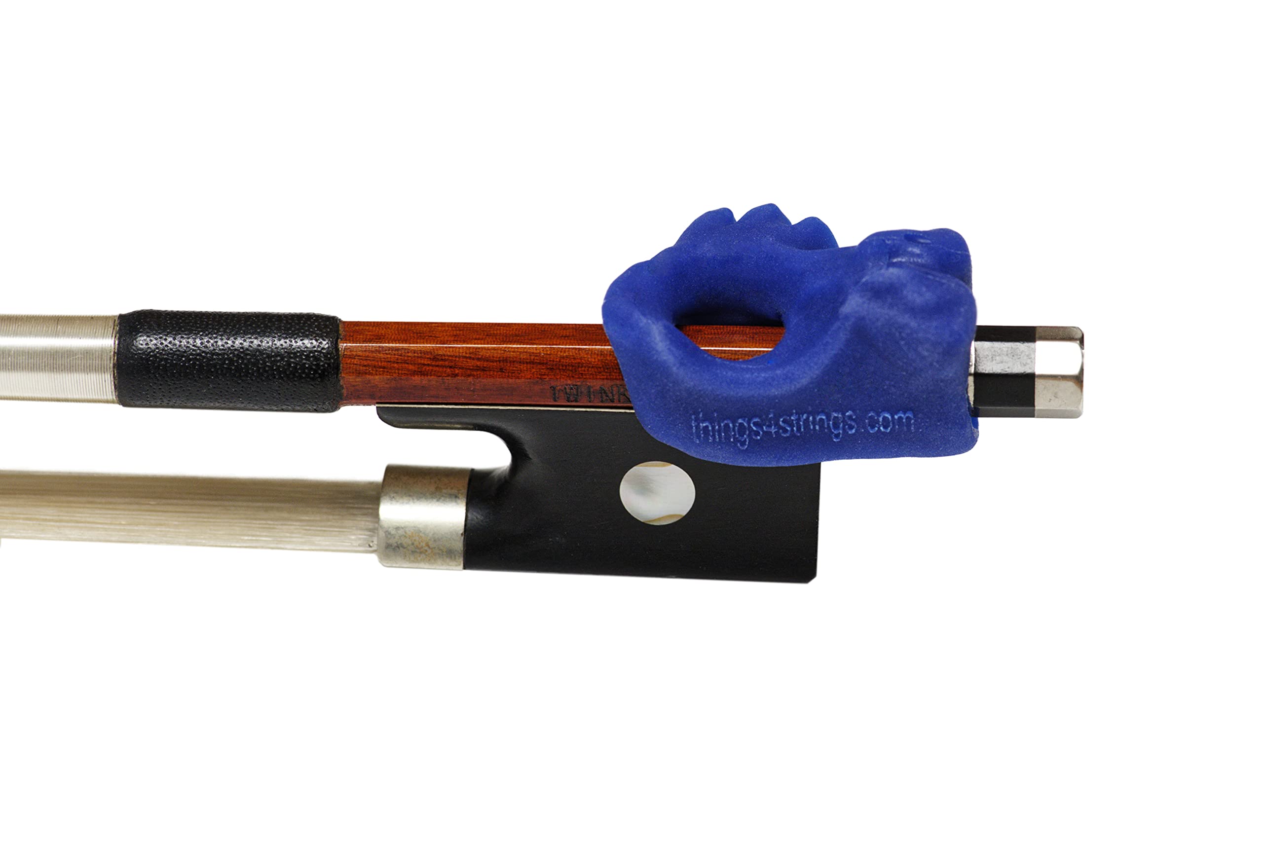 Hold Fish Bow Hold Violin Viola Bright Blue