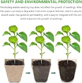 ATopoler 6Pcs 12-Grid Biodegradable Seedling Trays Plant Fibre Pots for Veg view 4