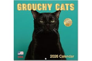 HIFULERR Cat Calendar 2026-12" x 24" (Open) Funny Cat Calendar 2026, Wall Calendars Planner, Gift for Cats Lovers, Hilarious White Elephant Gifts for Office, Useful Gag Gifts for Friends, Family, Coworkers