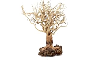 Bonsai Driftwood Aquarium Tree (7 Inch Height) Natural, Handcrafted Fish Tank Decoration | Easy to Install | BBS